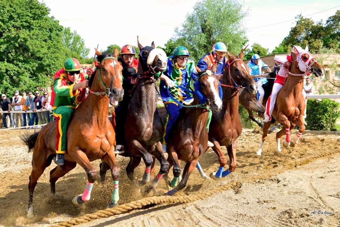&quot;Palio di Fucecchio 19 maggio 2019&quot; La Voce delPalio