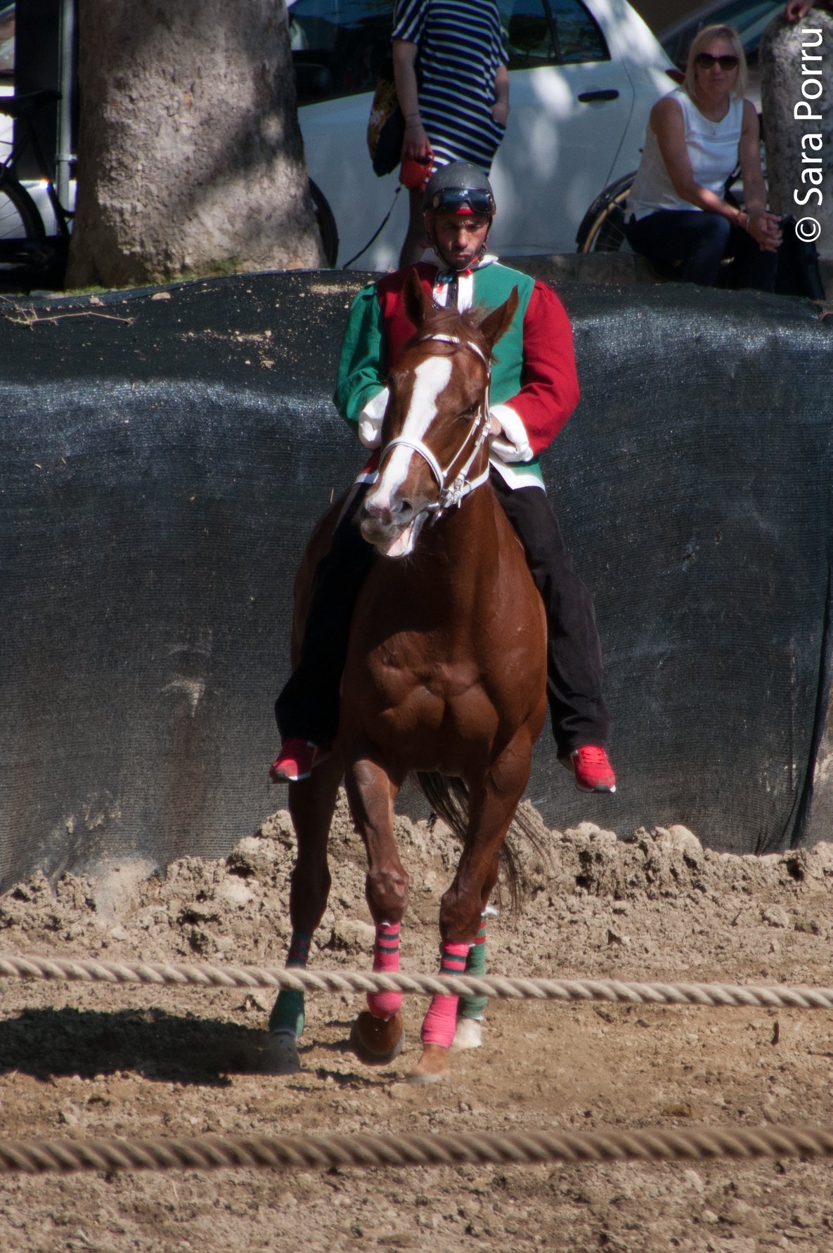 Palio di Ferrara 2019: vince il Borgo San Luca