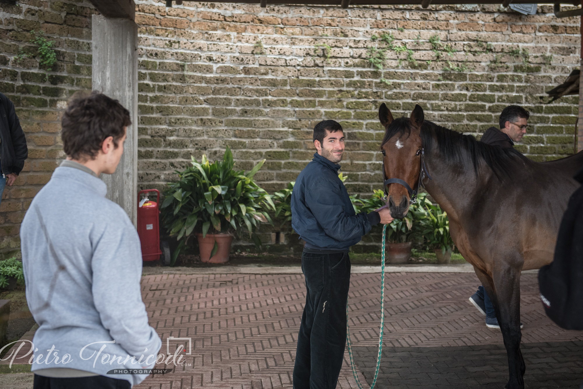 Palio 2 luglio 2019: ecco gli orari dell'Ufficio Palio per iscrivere i cavalli