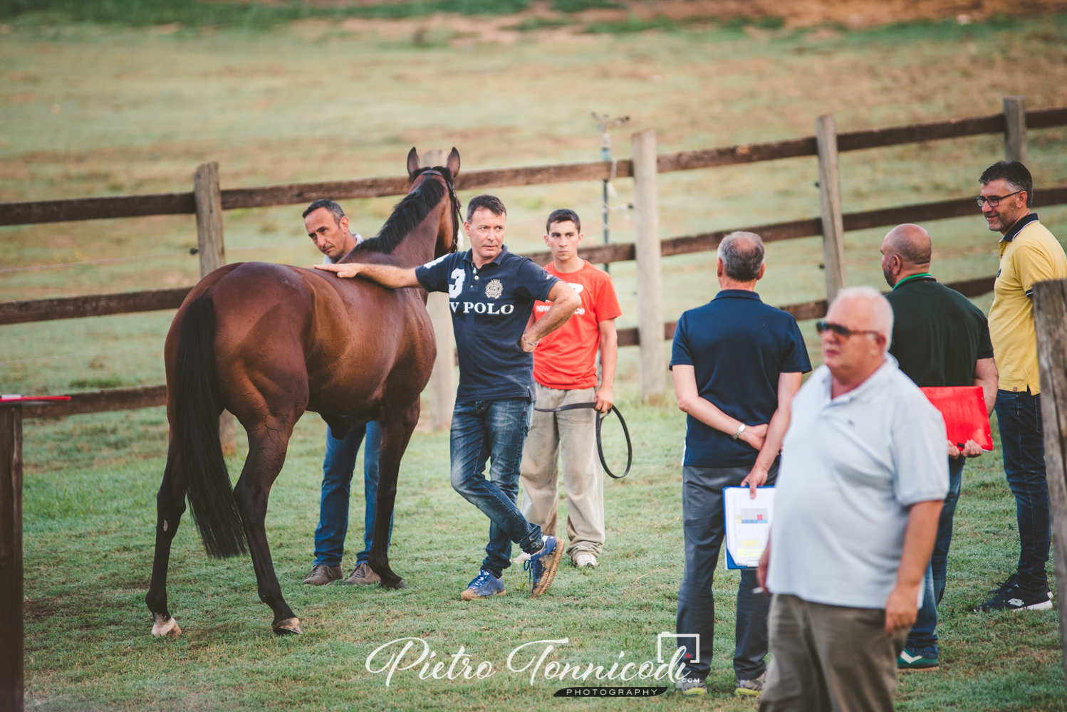 Palio 2 luglio 2019: sono 114 i cavalli iscritti alle Previsite