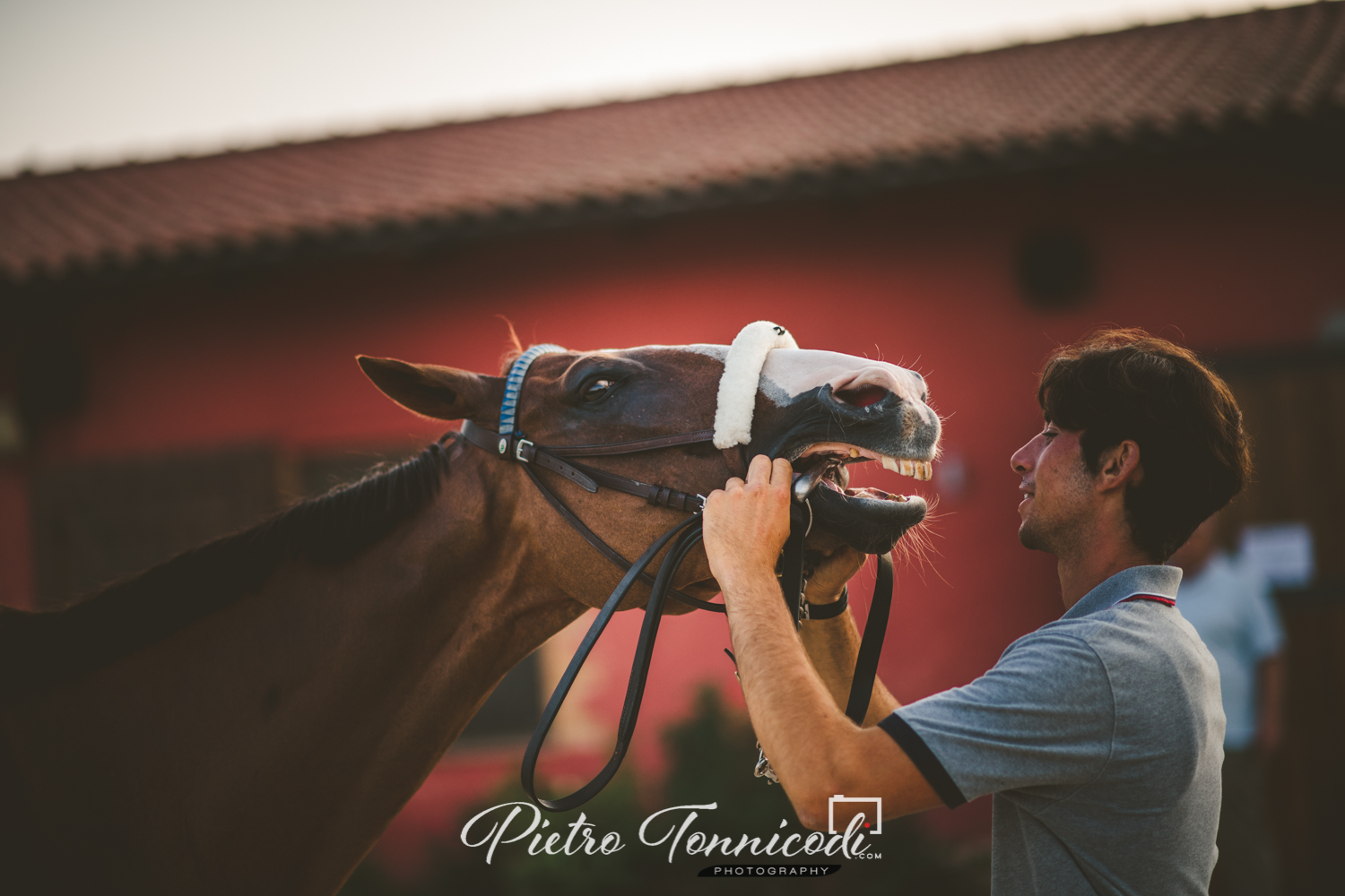 Palio 2 luglio 2019: ecco gli orari delle Previsite