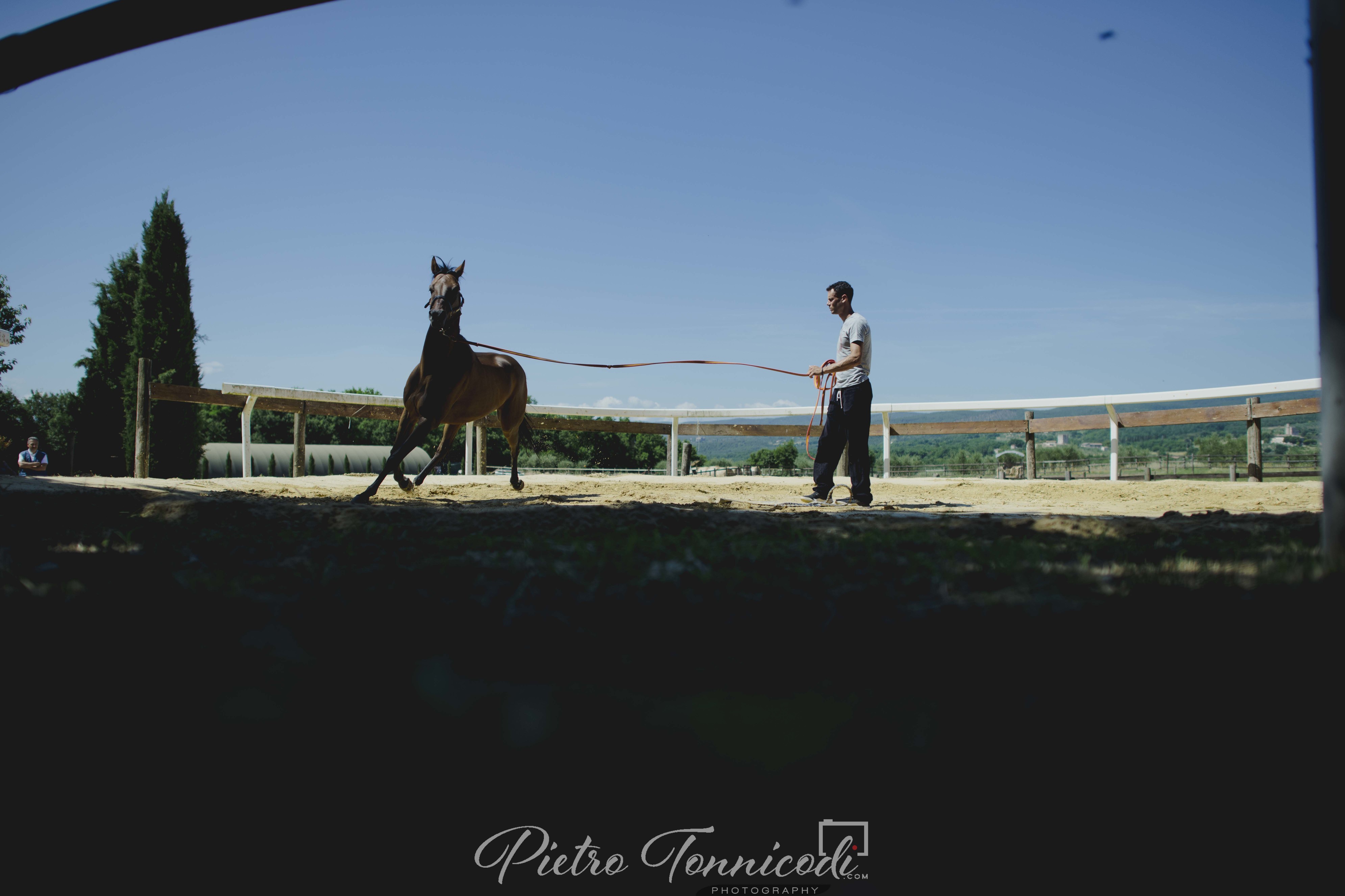 Palio 2 luglio 2019: la fotogallery delle Previsite di ieri