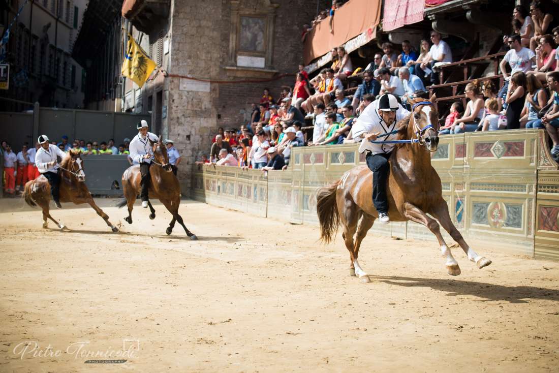 Palio 2 luglio 2019: sono 35 i cavalli ammessi alla Tratta