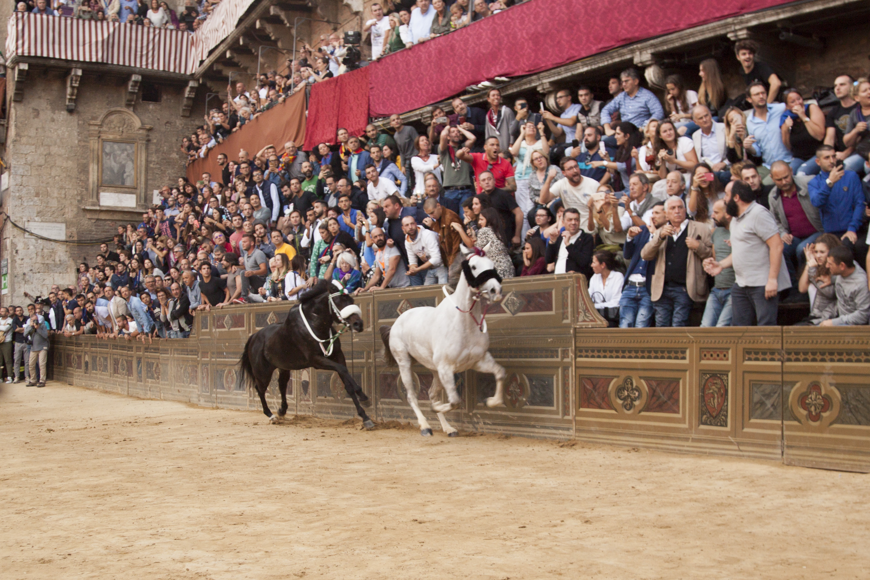 Conosciamo meglio Piazza del Campo: la curva del Casato