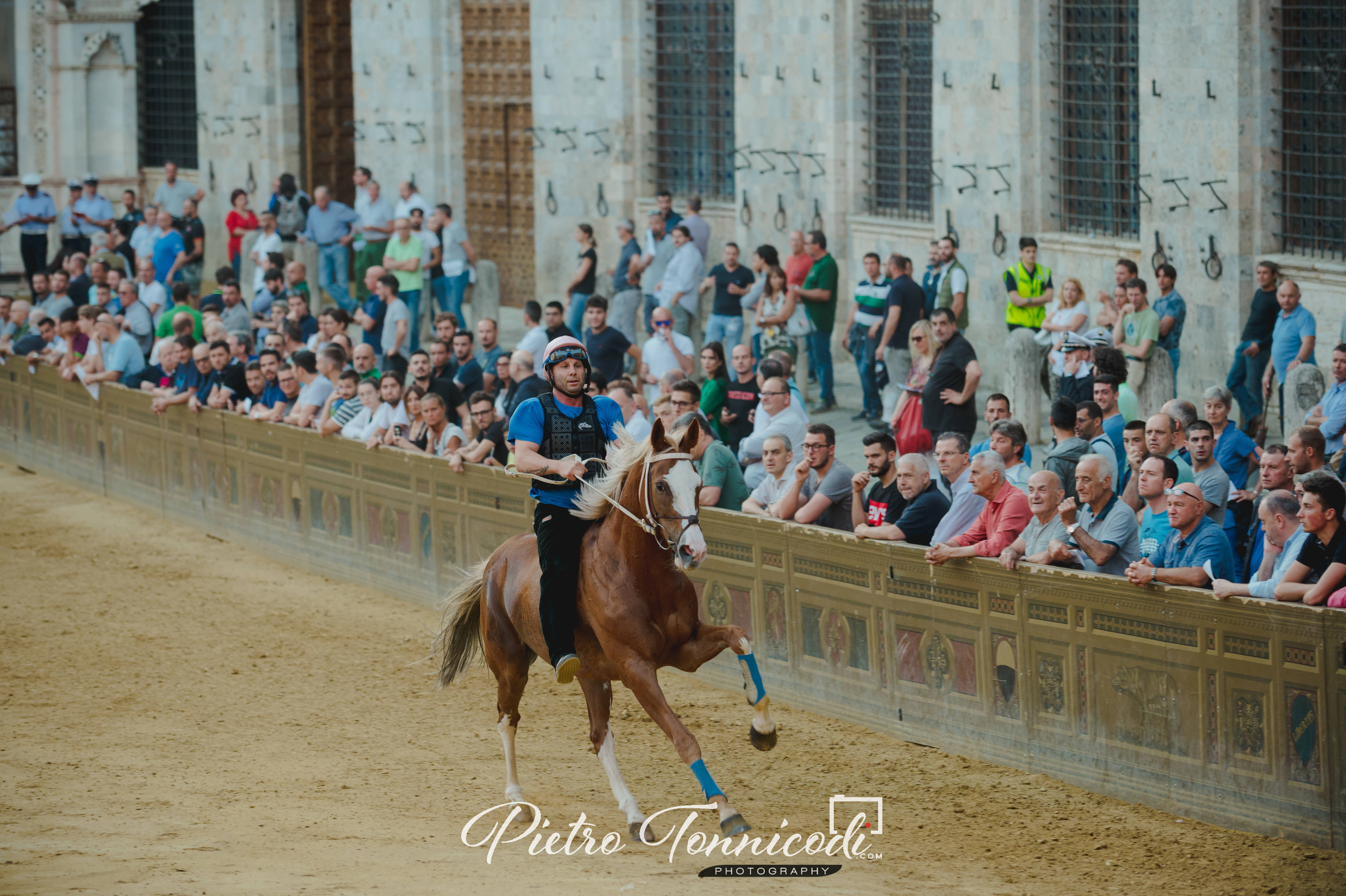Prove di Addestramento Mattutine 28 giugno 2019