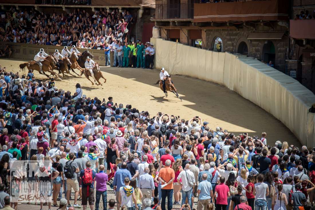Palio 2 luglio 2019: ecco le schede dei 35 cavalli ammessi alla Tratta