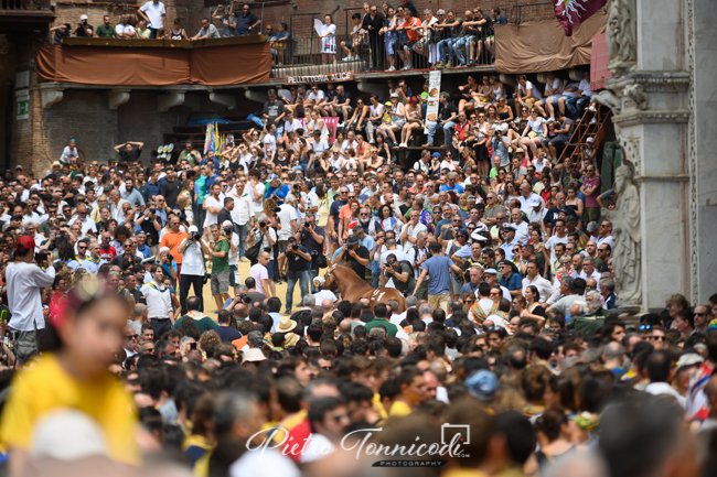 Palio 2 luglio 2019: la fotogallery della Tratta