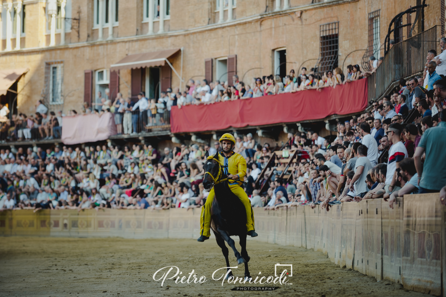 Palio 2 luglio 2019: alcune curiosità statistiche sulle accoppiate