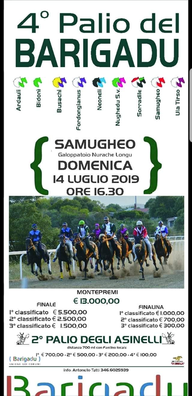 Oggi si corre la quarta edizione del Palio del Barigadu
