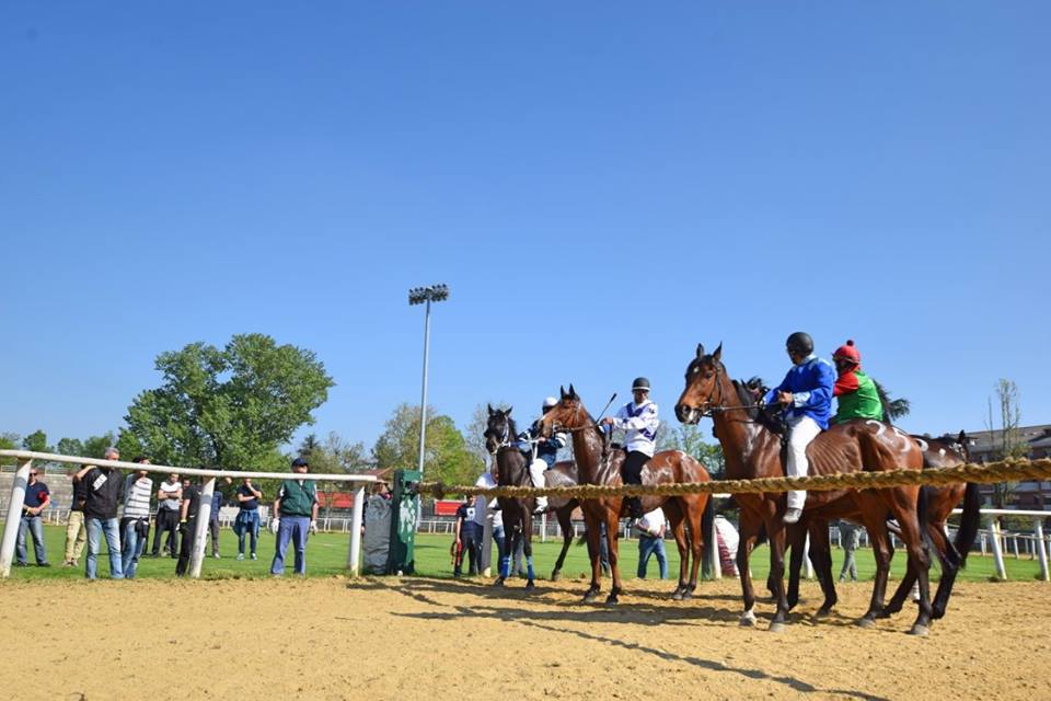 Palio di Asti 2019: il dettaglio delle 6 corse in programma stasera
