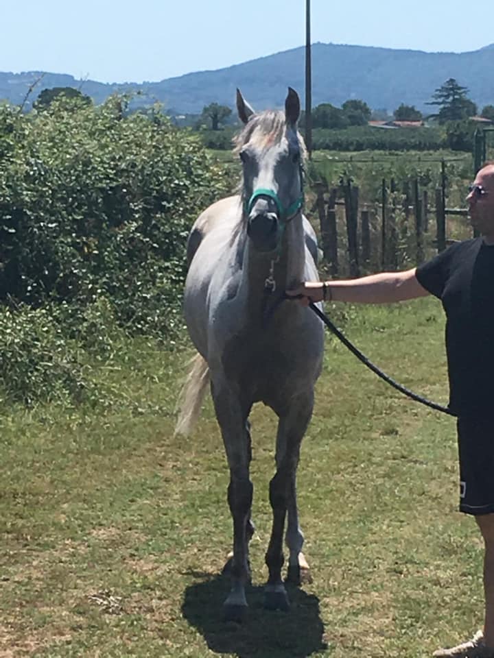 Corse a Vuoto 2019: Ubert Spy ingaggiato dal Rione Campanone
