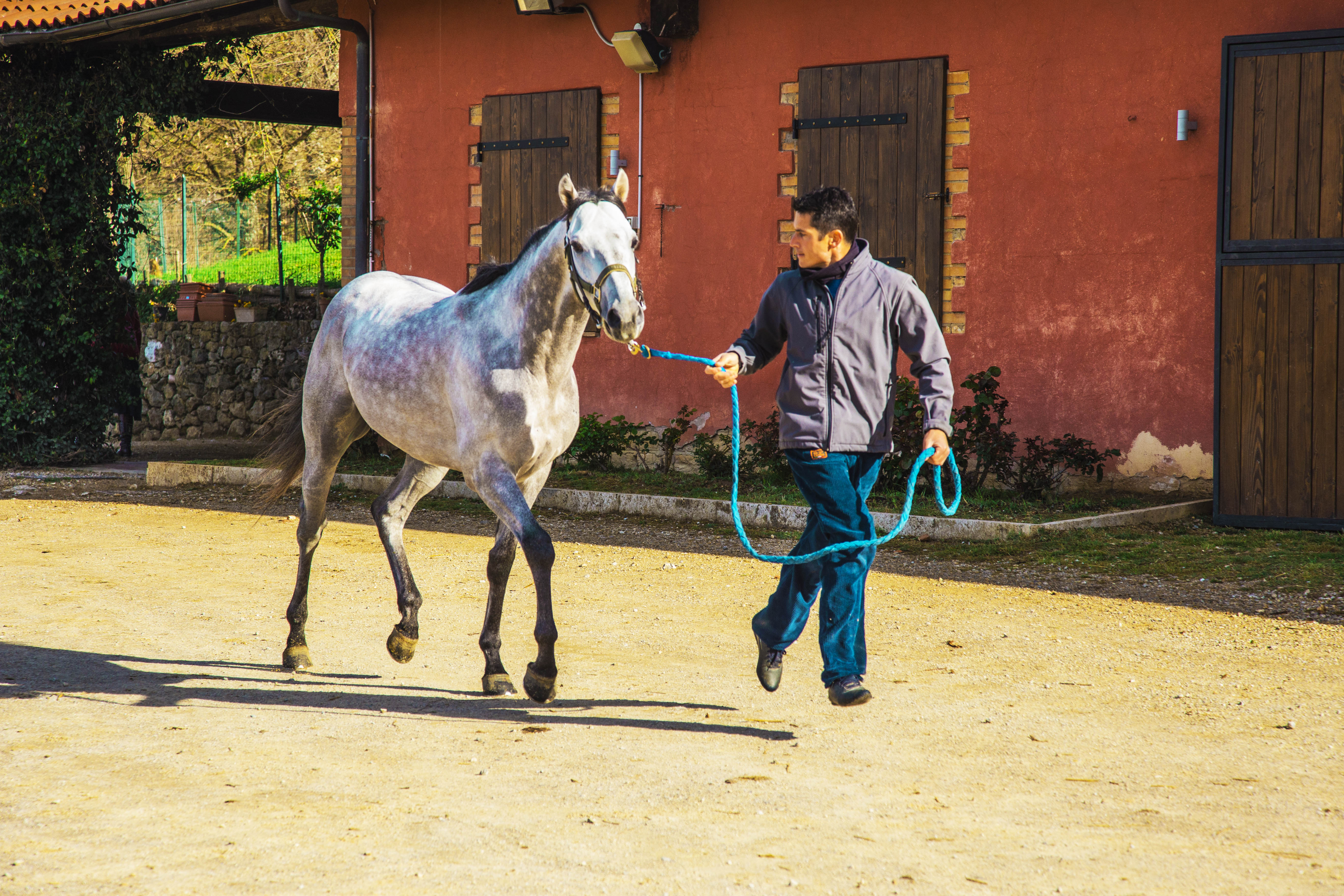 Palio 16 agosto 2019: ecco gli orari delle Previsite