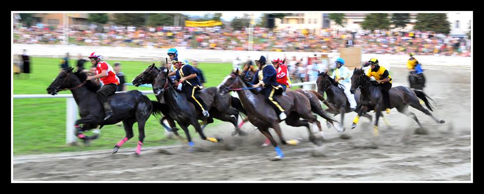 Palio di Feltre 2019: ecco le probabili accoppiate