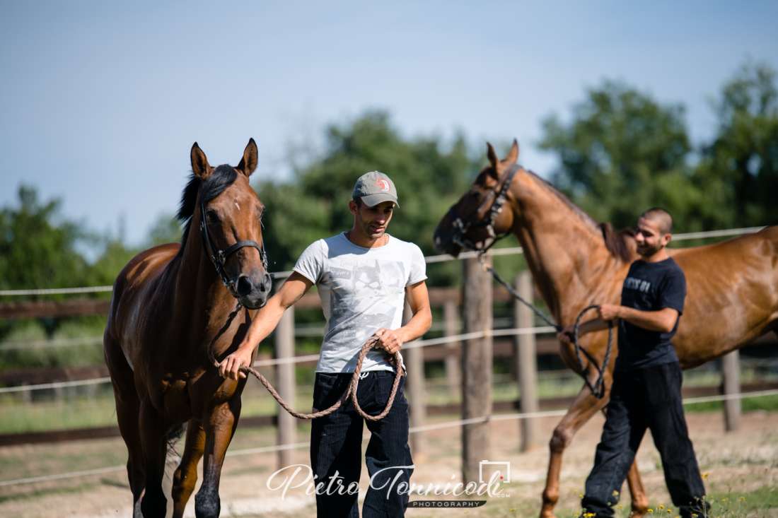 Palio 16 agosto 2019: terminata la prima mattinata di Previsite