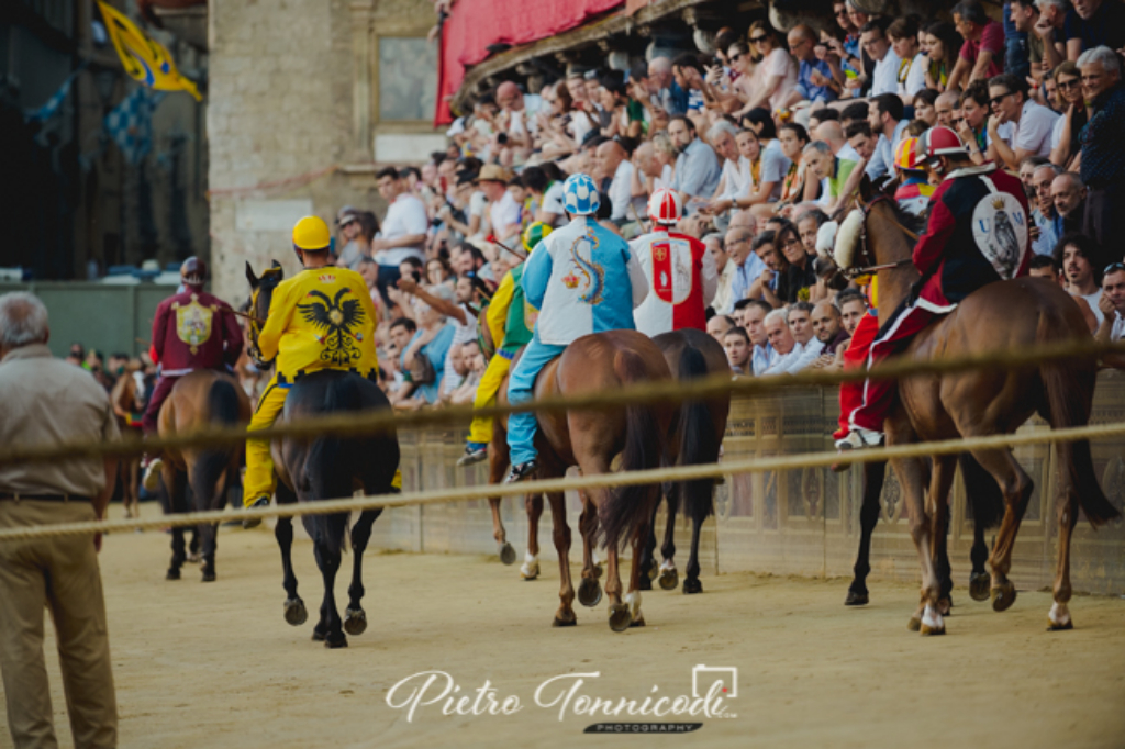 Palio 16 agosto 2019: ecco l'ultimo aggiornamento sulle monte