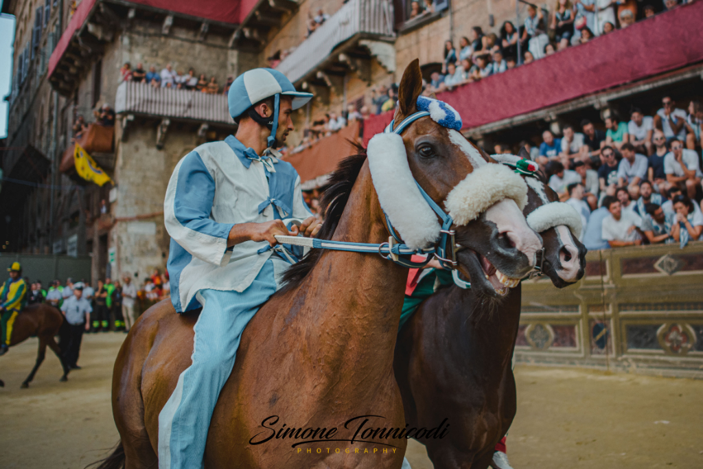 Palio 16 agosto 2019: alcune curiosità sulle accoppiate