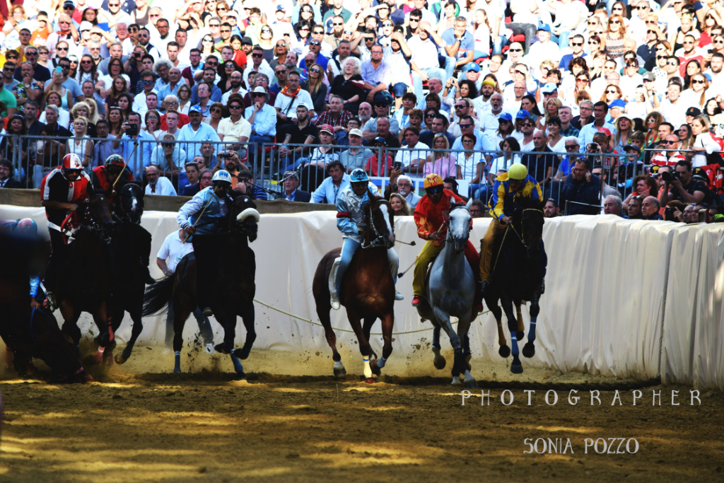 Palio di Asti 2019: ecco l'elenco dei cavalli  ammessi alle visite