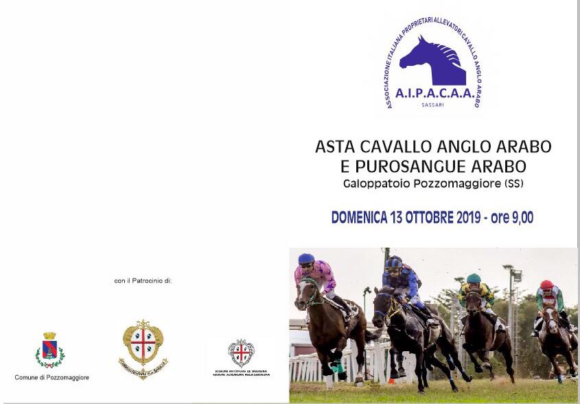 Il 13 ottobre a Pozzomaggiore ci sarà un'asta con cavalli anglo-arabi