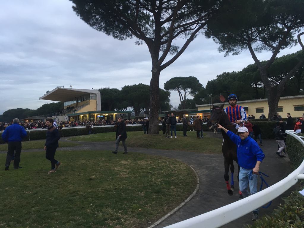 Corse regolari: Bombolina e Zeta Penny vincono a Pisa
