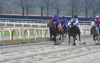 La fotogallery delle corse a Pian delle Fornaci di domenica scorsa