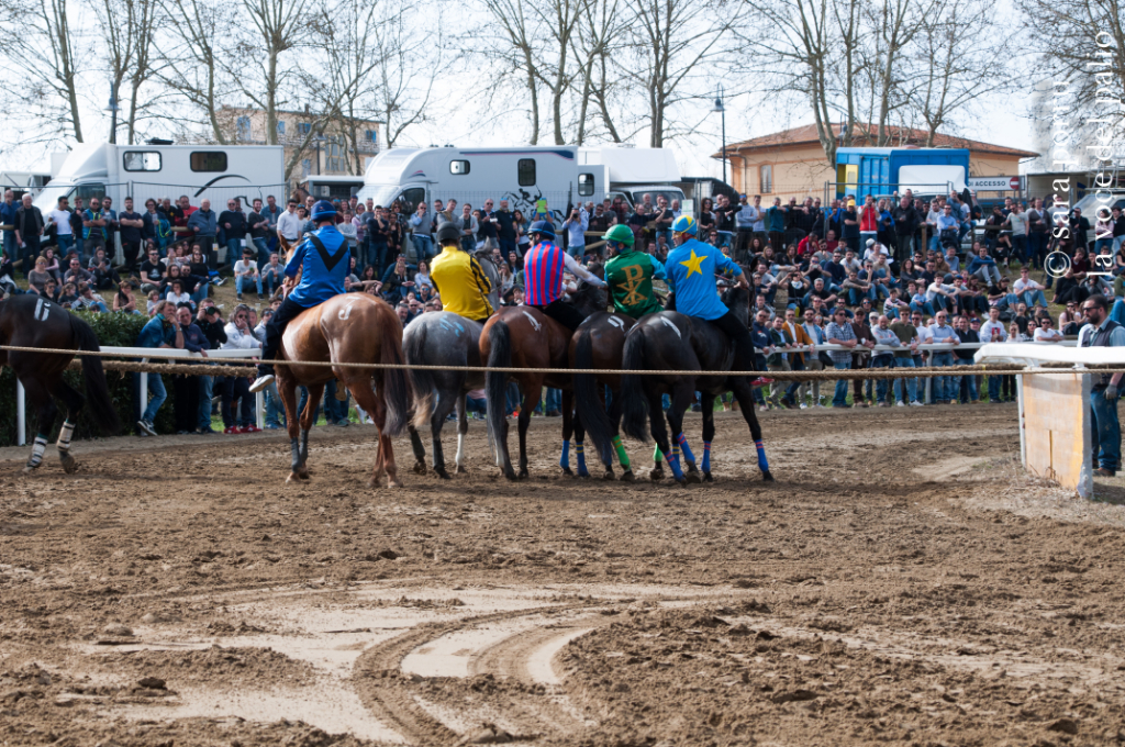 Fucecchio: attivo un modulo per l'iscrizione dei cavalli alle Corse di Primavera