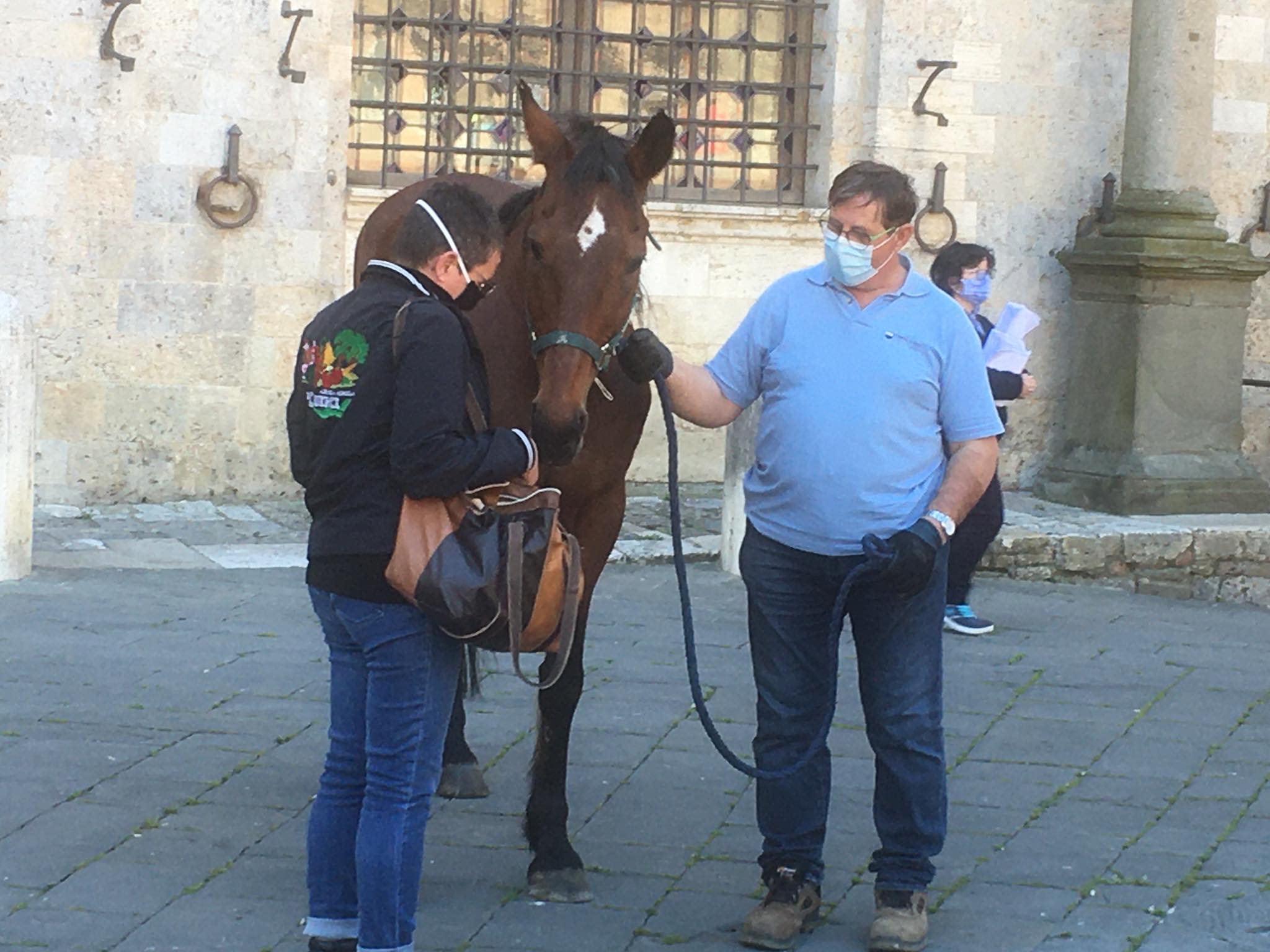 Questa mattina il cavallo Botticello è stato consegnato alla nuova proprietaria