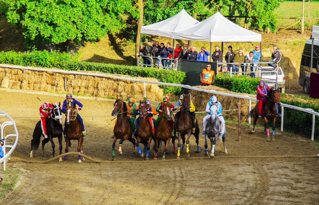 &quot;Oggi si sarebbe dovuto correre il Palio di Fucecchio edizione 2020