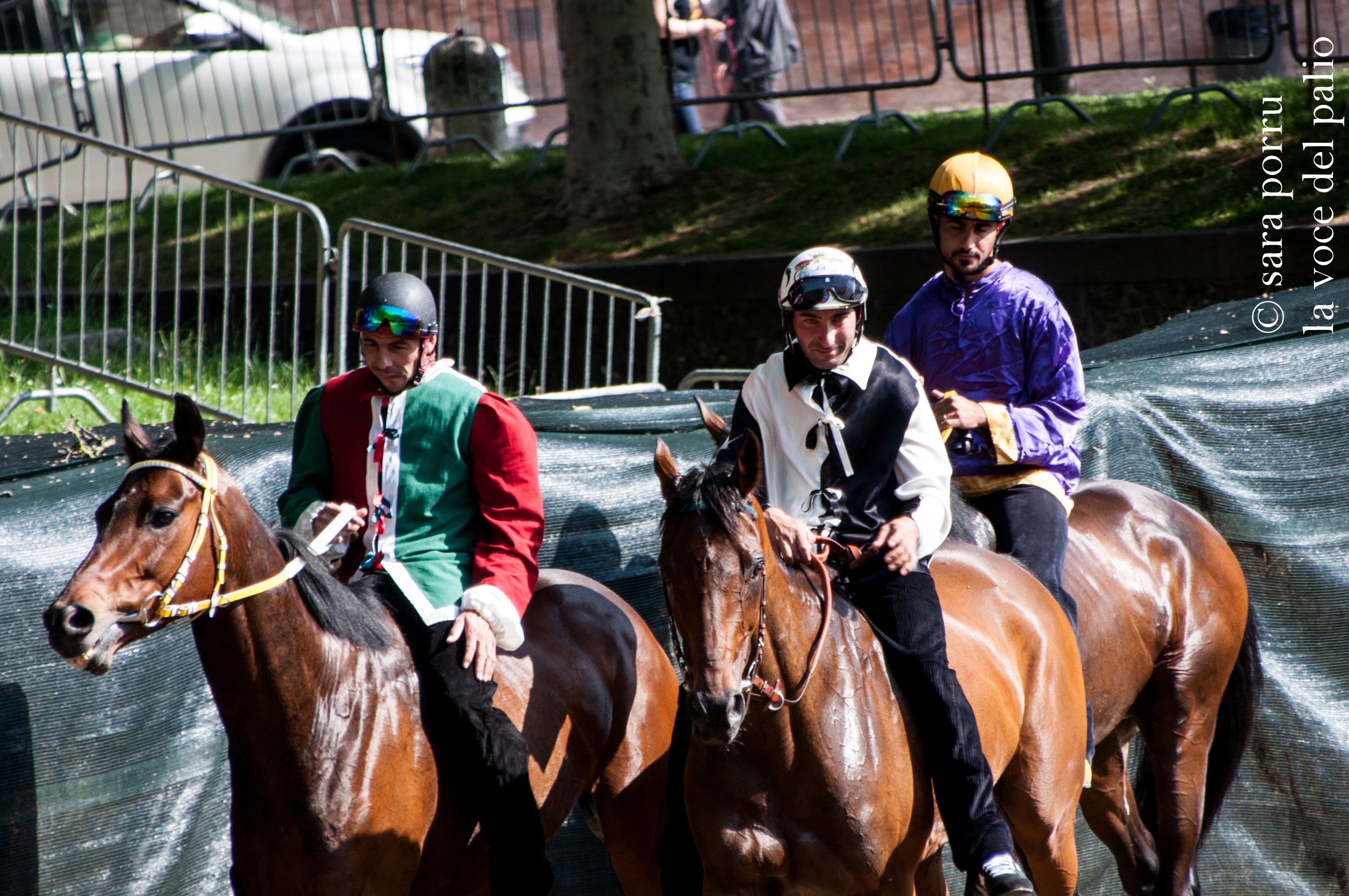 Ferrara: il messaggio dell'Ente Palio