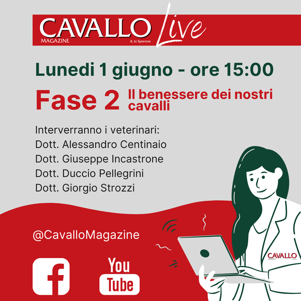 Questo pomeriggio ci sarà un webinar sul benessere dei cavalli