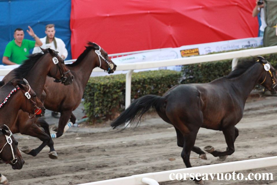 Annullato il Palio delle Corse a Vuoto di Ronciglione