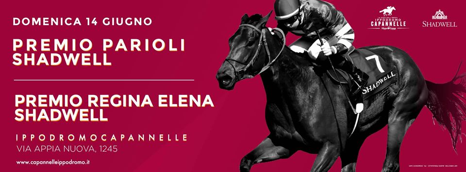 Corse regolari: ecco i risultati del Premio Parioli e del Premio Regina Elena
