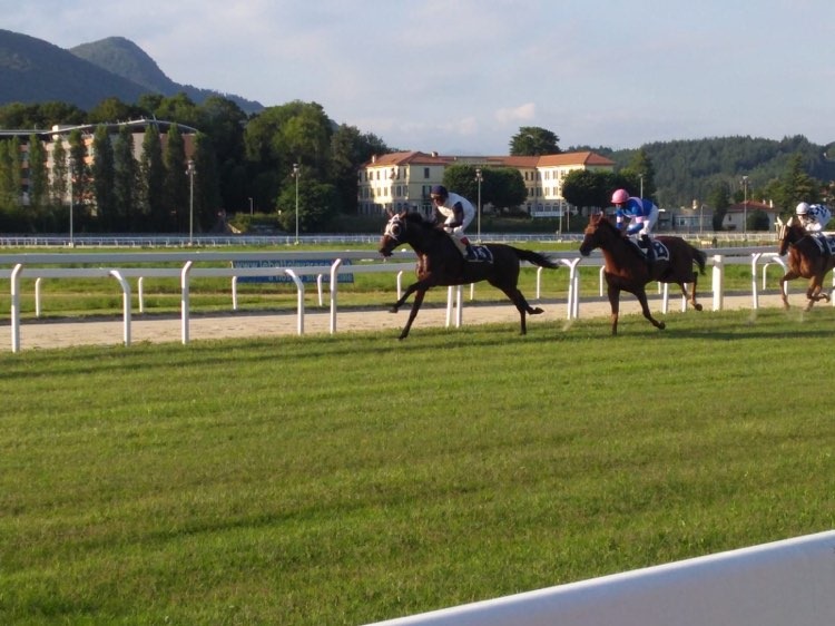 Corse regolari: oggi a Firenze due corse per cavalli anglo-arabi
