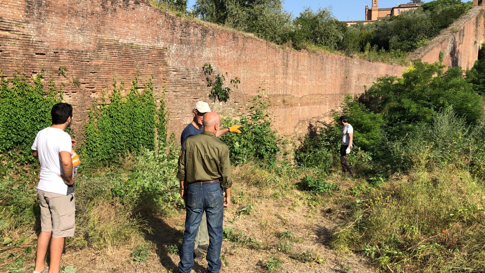 Sabato scorso è iniziata la pulizia delle Mura cittadine