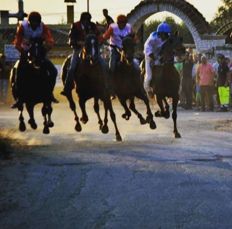 Conosciamo meglio il palio di San Rocco di Carpino