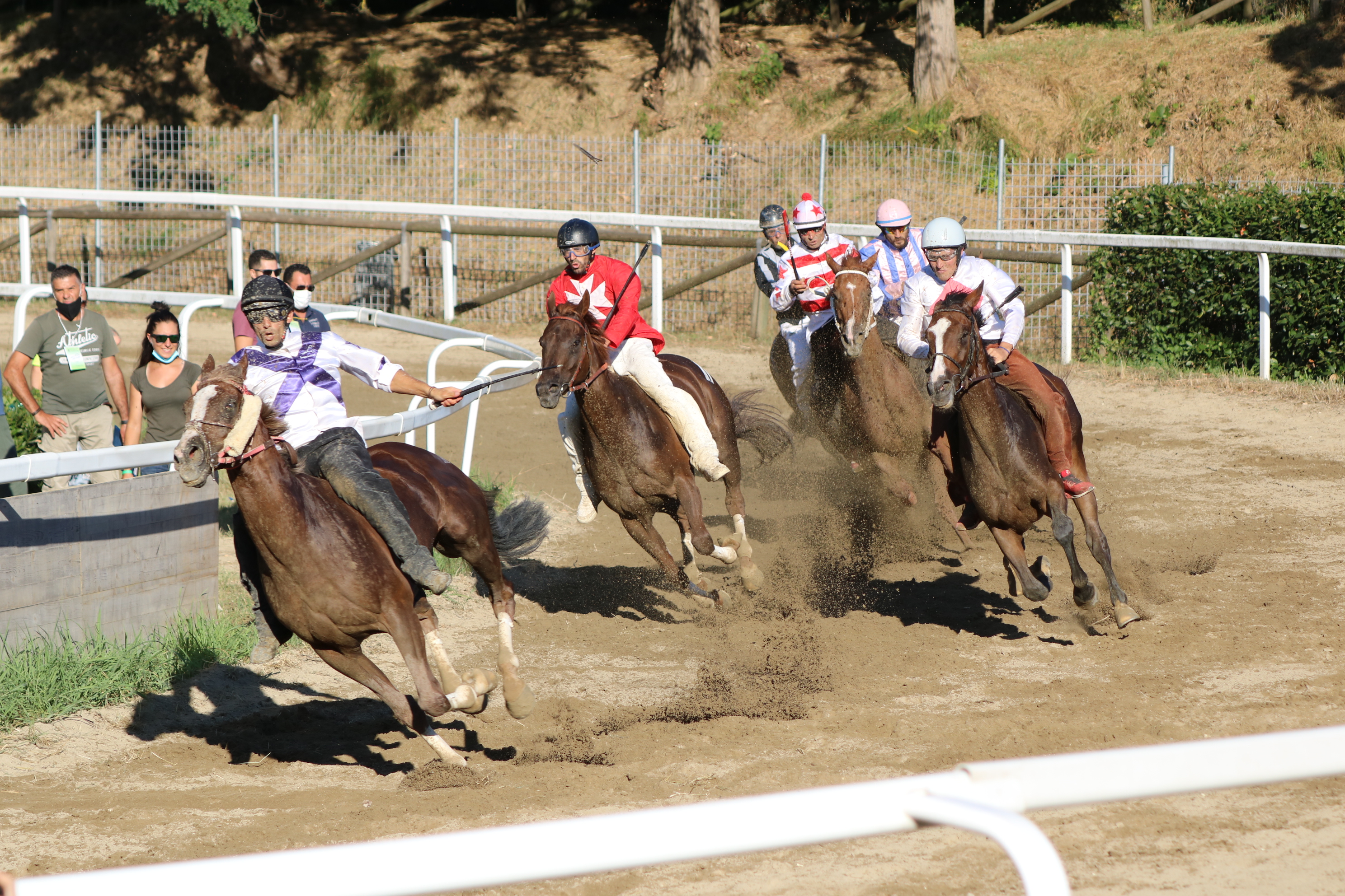 Fucecchio: le schede dei cavalli vincitori nelle corse di ieri