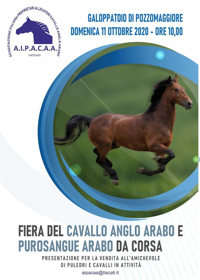 Oggi scadono le iscrizioni per la Fiera del cavallo anglo-arabo