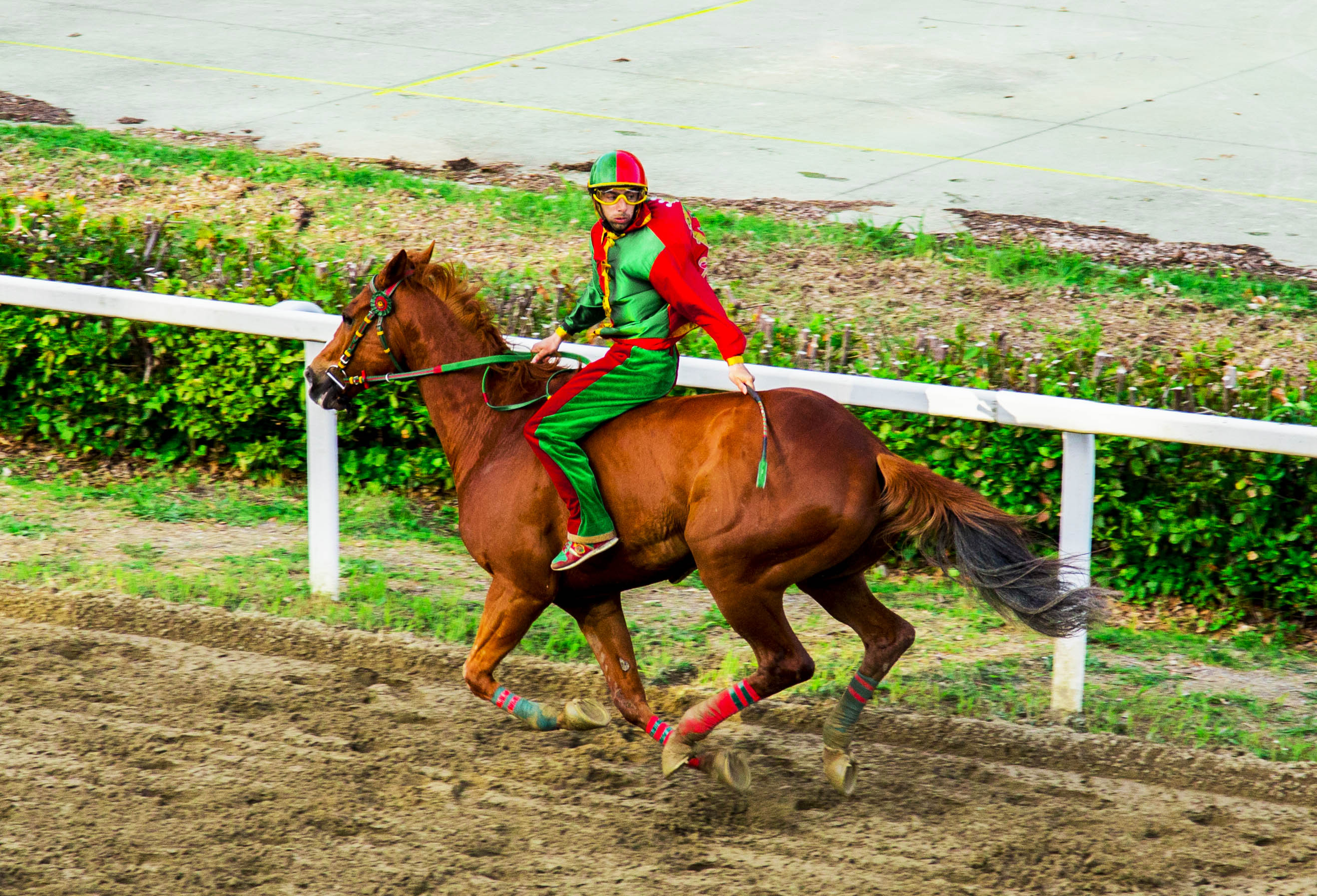 Corse regolari: Gavino Sanna e Batman vincono il Derby Sardo