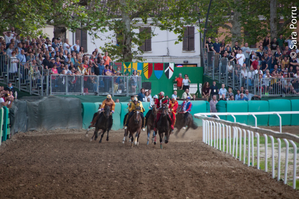 Al di là del Palio: un documentario sul Palio di Ferrara