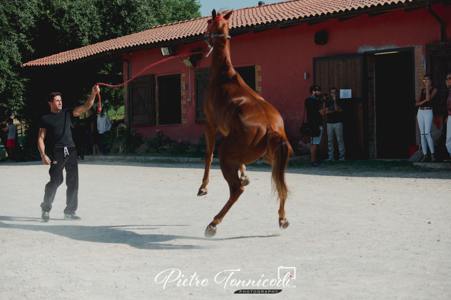 Ufficiale: rinviate le Previsite