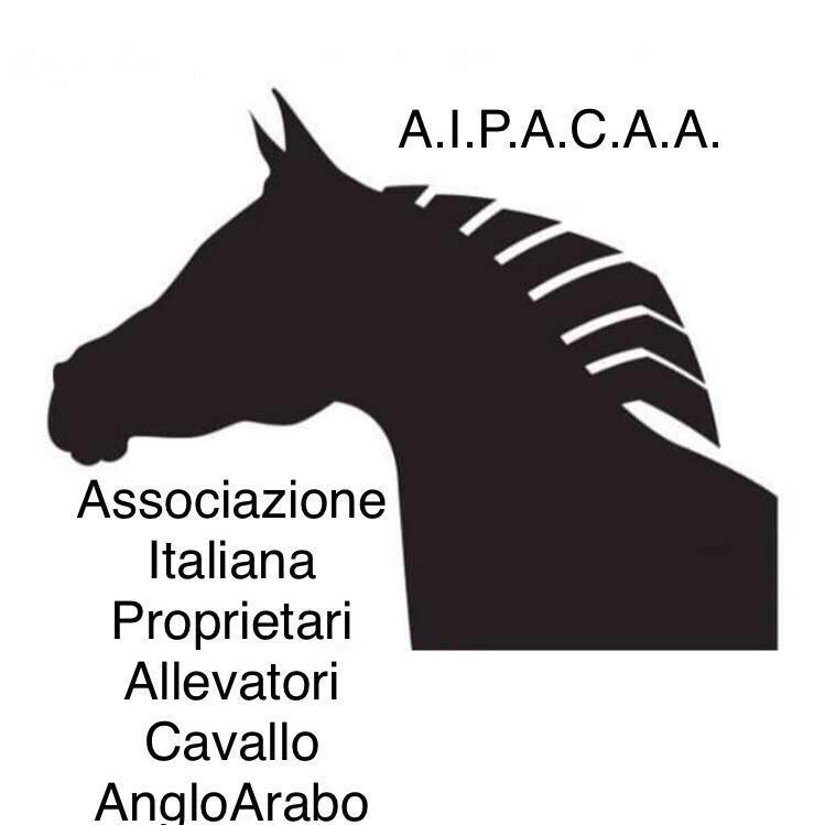 L'Aipacaa ha pubblicato l'elenco degli stalloni per la stagione riproduttiva
