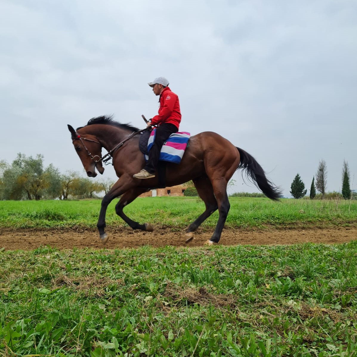 Attese, speranze e sogni: Alessio Giannetti e i suoi cavalli