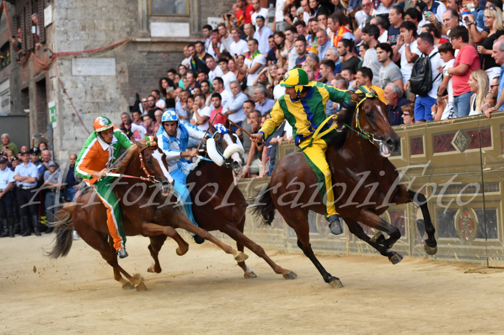 Il Comune e il Consorzio per la Tutela del Palio hanno querelato il Presidente degli animalisti italiani