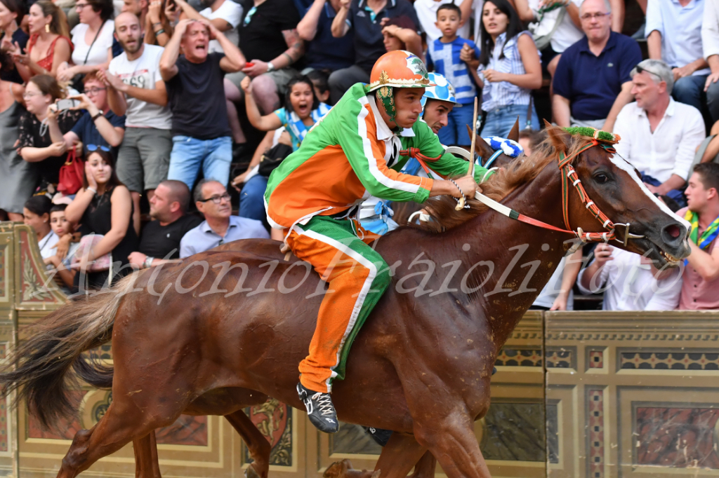 I video dei cavalli vincitori di Palio alle Previsite