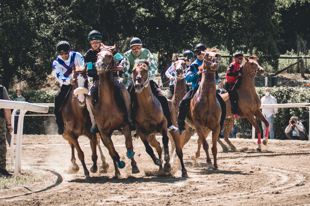 Fucecchio: le schede dei 14 cavalli che hanno vinto le corse