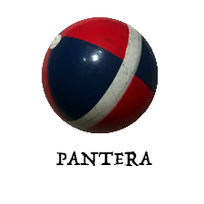 Pantera: rubata una targa commemorativa