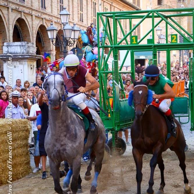 Loreto: ecco i cavalli che parteciperanno alla Corsa del Drappo