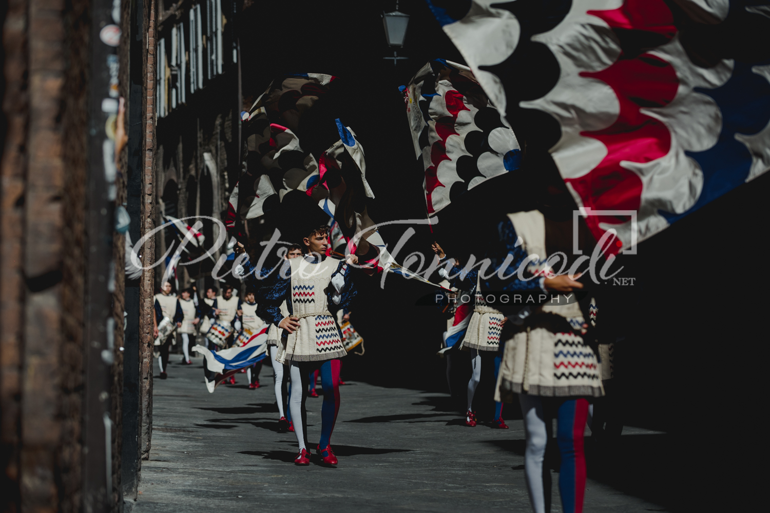 Istrice: la gallery del Giro 2021