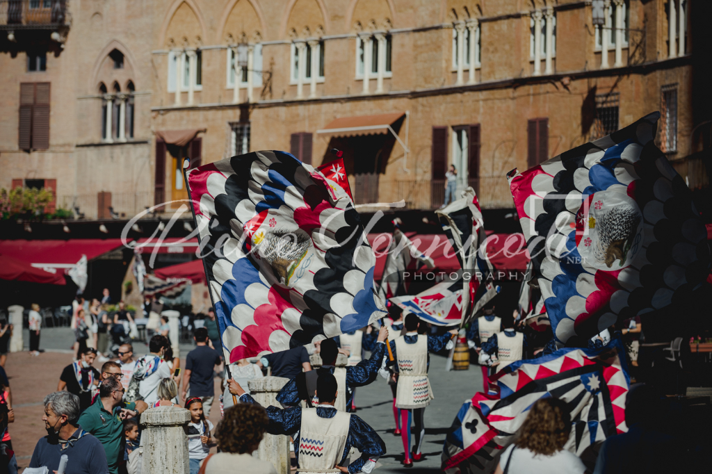 Istrice: un video del Giro di Onoranze di domenica scorsa