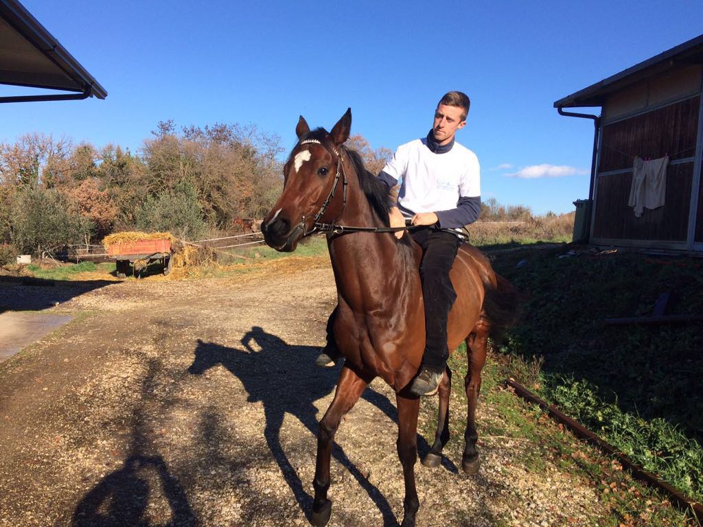 Palio del Guilcier: vince Federico Guglielmi con Zamura