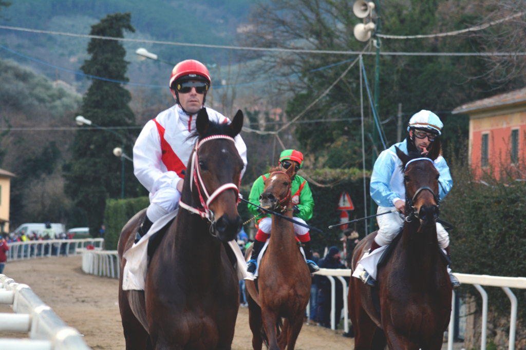 Il Palio di Buti non si correrà il 23 gennaio